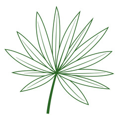 Greenery Tropical Leaf Plant Outline, Decorative Element Design 