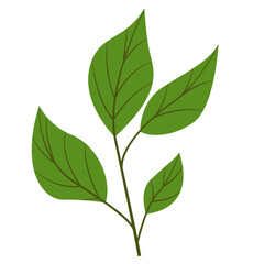 Greenery Tropical Leaf Plant, Decorative Element Design 