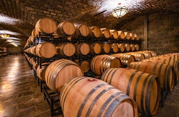 Oak barrels in the cellar of the winery