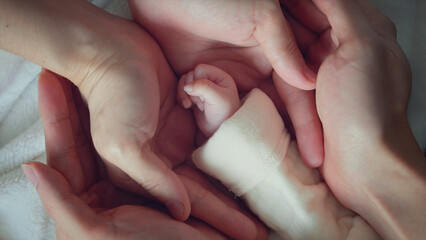 Father and mother hold in their hands a little newborn baby, New life, Happiness parents! Closeup...