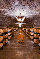 Oak barrels in the cellar of the winery