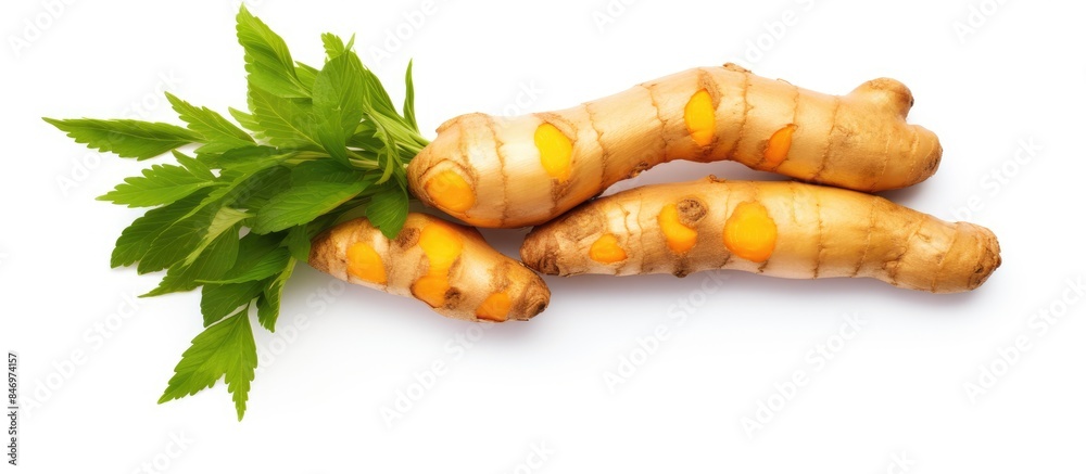 Poster Close-up view of three fresh ginger roots with leaves on a white surface. with copy space image. Place for adding text or design