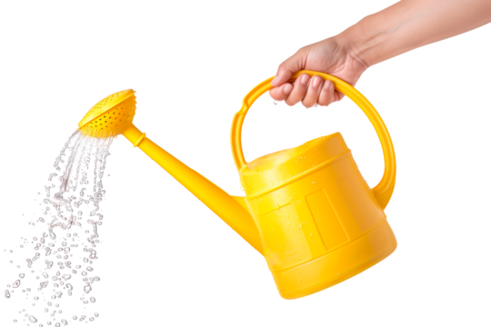 A yellow watering can in hand isolated on a white or transparent background. Water splashes and droplets pour out of the watering can. Watering plants and flowers, gardening equipment.