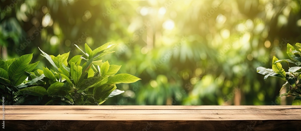 Leinwandbilder wooden table adorned with a plant set amidst lush green jungle foliage in the background. with copy 