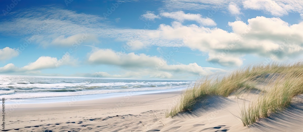 Aufkleber Sandy beach with lush green grass against a backdrop of a bright blue sky. with copy space image. Place for adding text or design