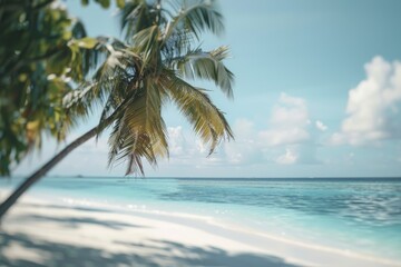 A palm tree leans over a sandy beach, with the ocean waves gently lapping at its base