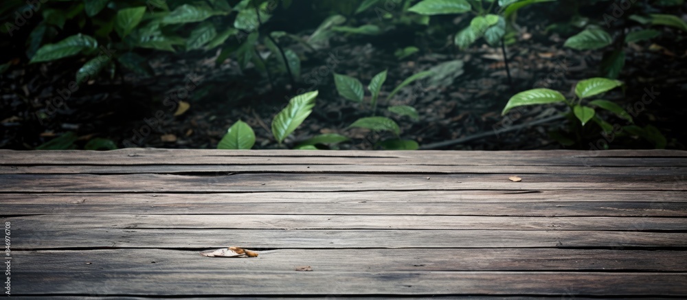 Aufkleber Rustic wooden walkway featuring intricate wood grain and a solitary leaf. with copy space image. Place for adding text or design