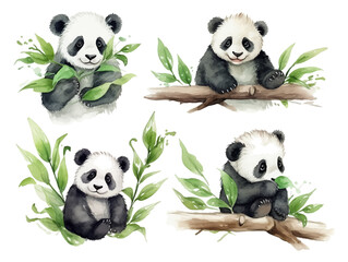 Set of cute baby panda bear on the tree branch watercolor isolated white background. Vector illustration © Pickoloh