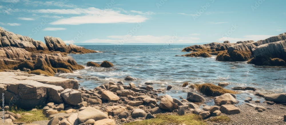 Poster a rugged coastline featuring a variety of rocks and patches of grass scattered along the shore. with