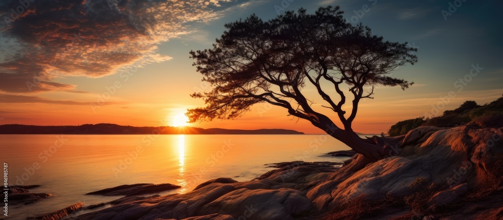 Leinwandbilder Tree standing alone on lake shore during beautiful sunset with colorful sky. with copy space image. Place for adding text or design