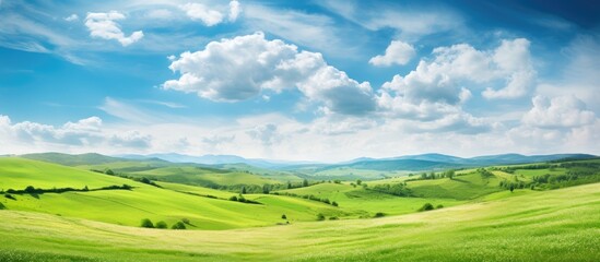 Obraz premium Lush green field under a clear blue sky with fluffy white clouds on a sunny day. with copy space image. Place for adding text or design