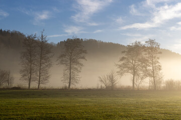 Morgennebel im Tal der Umlach