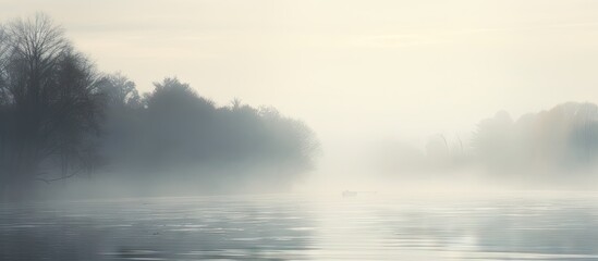 Fototapeta premium Duck peacefully drifts in the center of a fog-covered lake on a tranquil day. with copy space image. Place for adding text or design