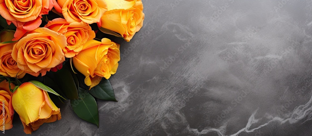 Fototapete numerous orange roses arranged on a textured gray surface against a stark black background. with cop
