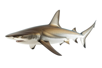 Fototapeta premium A realistic 3D render of a shark, showcasing its sharp teeth, fin structure, and streamlined body against a transparent background.