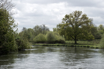view of The River Test Hampshire England one of Hampshire's finest chalk streams