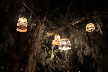 lamps on a tree. beautiful lampshades. in the trees. night,beach