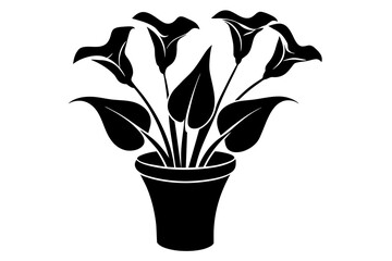 calla lily flower silhouette vector illustration