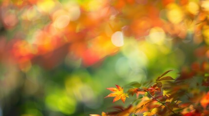 Blurred autumn backdrop