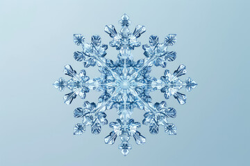 A snowflake is the main focus of the image