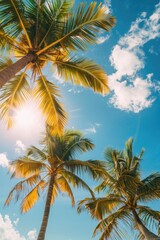 A group of palm trees standing tall on a bright and sunny day, with warm light reflecting off the leaves