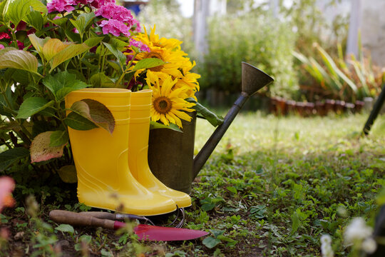 garden tools