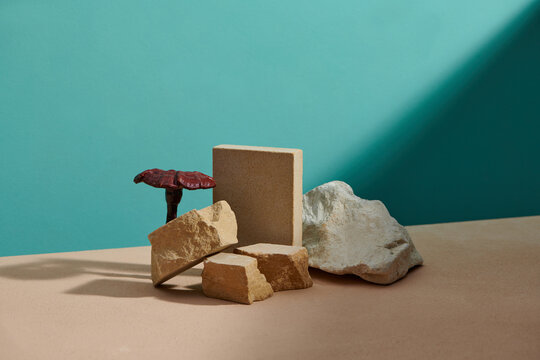 Decorated with Lingzhi mushrooms on A block of stone with blank