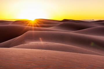 Sunrise in the Sahara Desert