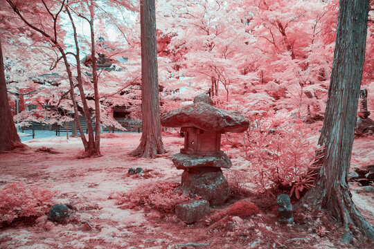 Infrared Garden with Stone Lantern and Trees