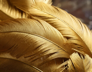 close up golden feathers adorned with a captivating design 
