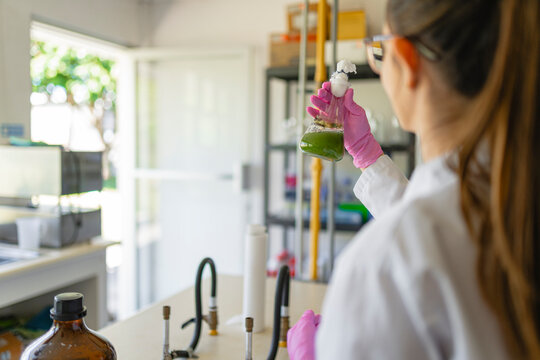 Medical laboratory scientist examining substance in conical flask