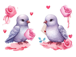 Watercolor valentines day love pigeon couple, hand drawn watercolor illustration for greeting card or invitation design