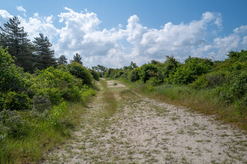 the nature reserve of La Maye in northern France