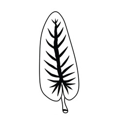 black and white leaf vector image, can be used as an icon, symbol