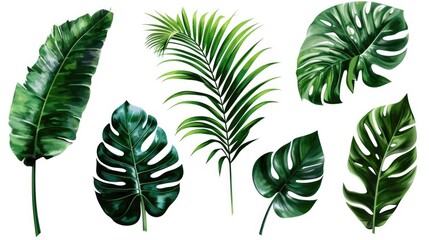 A collection of colorful tropical leaves on a clean white background, ideal for use in design and art projects
