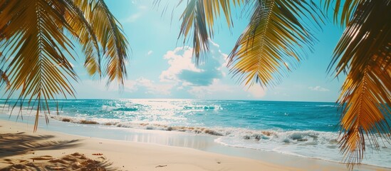 Fototapeta premium Tropical paradise: Golden beach with palm leaves under the sun, sandy shores, and clear blue skies - a perfect summer getaway.