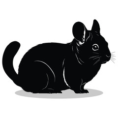 Chinchilla silhouettes and icons. Black flat color simple elegant white background Manatee animal vector and illustration.
