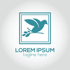 Abstract bird logo design concept isolated vector template illustration