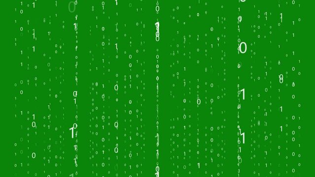Binary Code Floating On Green Screen Background. Digital Binary Code Animation Computer Number Or Data Code Floating. Computer Code Matrix Number Animation And Change Randomly. Code Raining Green Scre