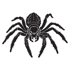 Tarantula silhouettes and icons. Black flat color simple elegant white background Manatee animal vector and illustration.