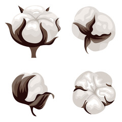 set of various cotton flower buds and different types of them, for holiday cards, decor or designs