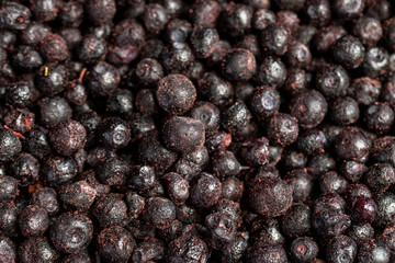 blueberry harvest frozen quickly to preserve vitamins
