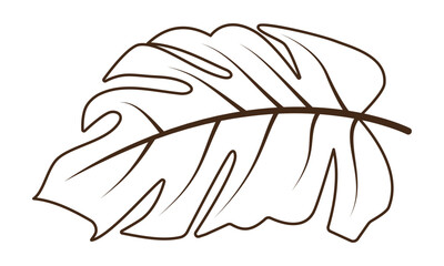 Botanical tropical palm leaves branches hand drawn line for modern design decoration. Flat doodle style. Vector illustration.