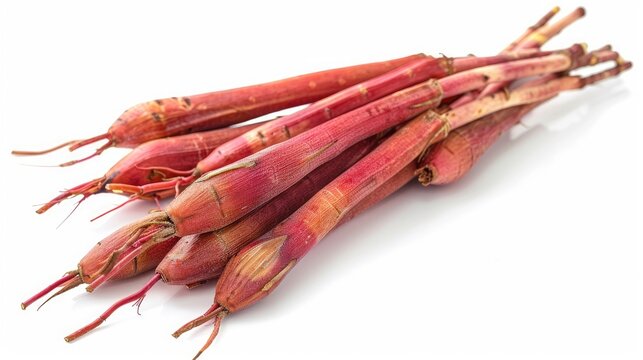 Butea superba Roxb root isolated on white background known as red Kwao Krua or Leguminosae Butea superba
