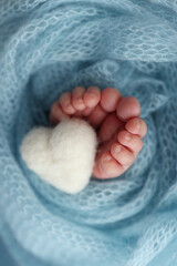 The tiny foot of a newborn baby. Soft feet of a new born in a wool blue blanket. Closeup of toes, heels and feet of a newborn. Knitted white heart in the legs of baby. Macro studio photography. 