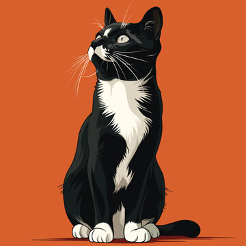 Black white cat sitting against orange background. Tuxedo cat artwork detailed fur whiskers, gazing upwards. Pet illustration ideal animal lovers interior decor