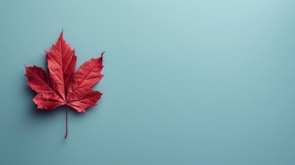 Canada Day card with a minimal design, featuring a red maple leaf and copy space