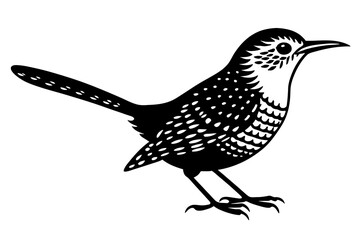 Solid black outline Cactus Wren animal vector silhouette