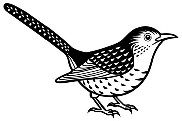Solid black outline Cactus Wren animal vector silhouette