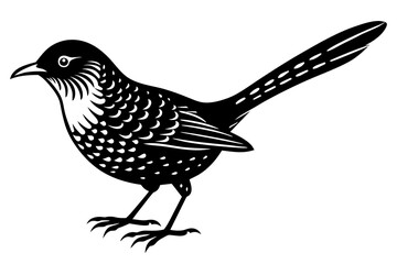 Solid black outline Cactus Wren animal vector silhouette
